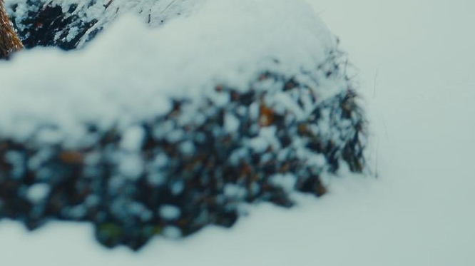 배에 가스 차는 이유 가스 빼는 자세는? 관련 이미지 13