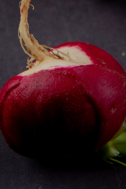 콜라비 효능 부작용 보관법 고르는법 알아보기 관련 이미지 14