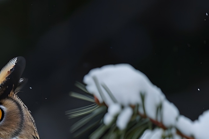 급성장염에 좋은 음식 증상 낫는기간은? 관련 이미지 10