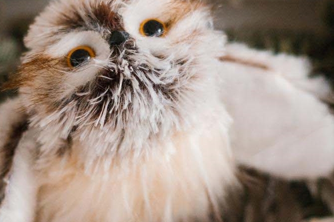 라미네이트 치아삭제 꼭 필요한 만큼만 해요 관련 이미지 28