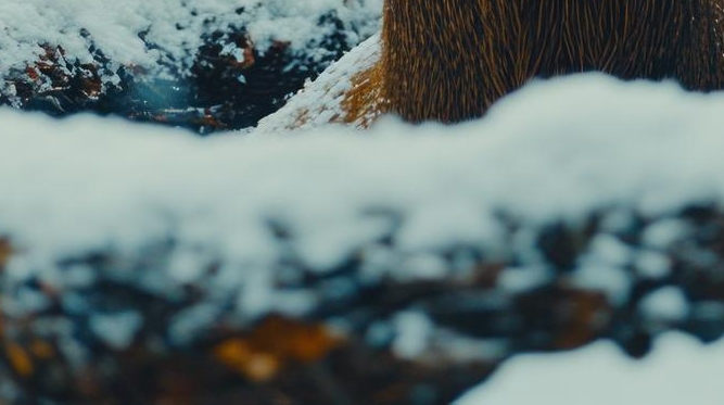 배에 가스 차는 이유 가스 빼는 자세는? 관련 이미지 12