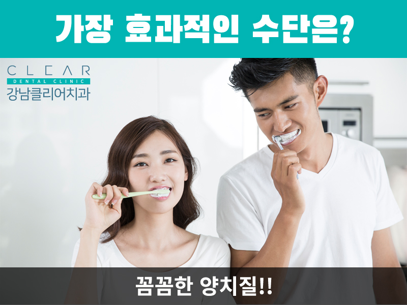 자일리톨이 정말 충치 예방이 될까? 관련 이미지 7