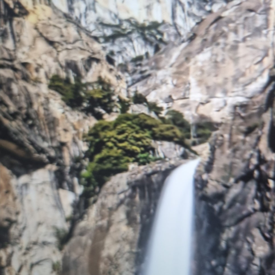 개복숭아 효능 부작용 건강한 과일? 관련 이미지 12