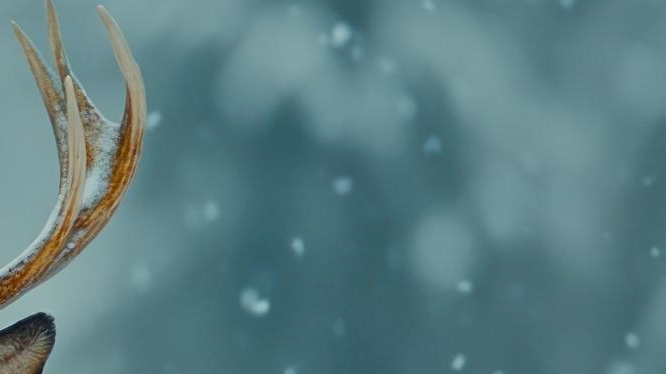 배에 가스 차는 이유 가스 빼는 자세는? 관련 이미지 8