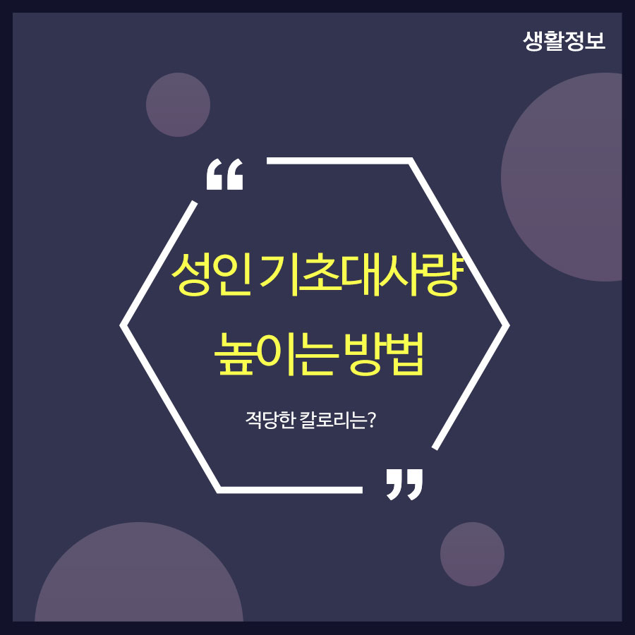 성인 기초대사량 높이는 방법 적당한 칼로리는? 관련 이미지 1