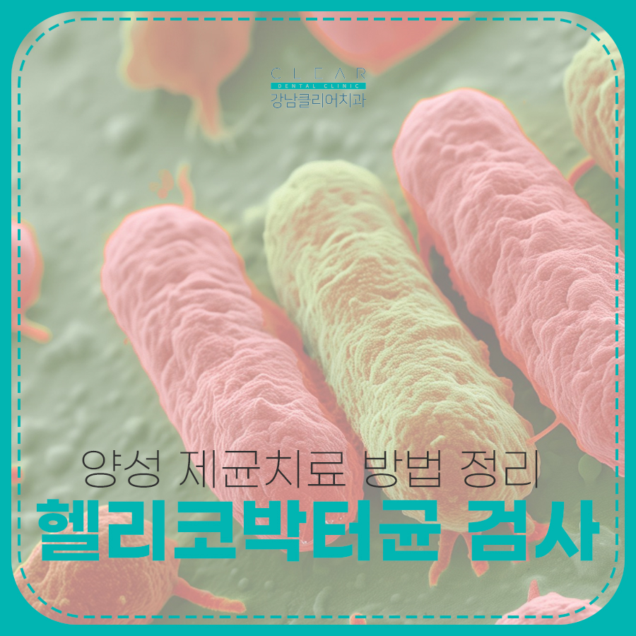 헬리코박터균 검사방법 양성 제균치료 방법 정리 관련 이미지 1