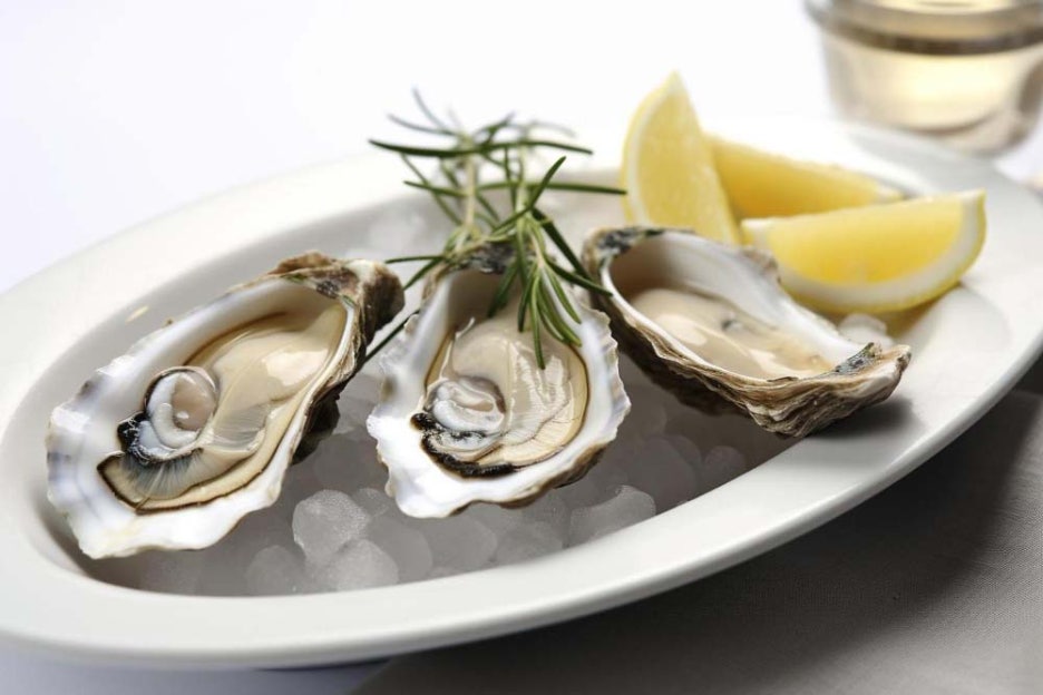 겨울철 굴 효능 제철시기 노로바이러스 증상 주의 관련 이미지 3