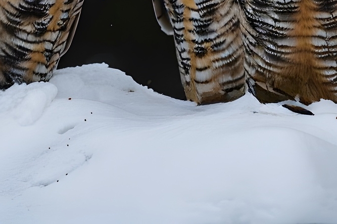 급성장염에 좋은 음식 증상 낫는기간은? 관련 이미지 15