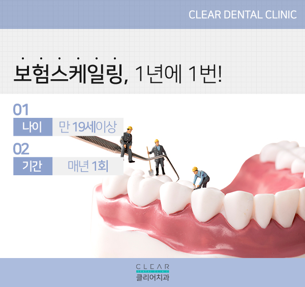 자연치아를 소중히 하기 위한, 스케일링 관련 이미지 6