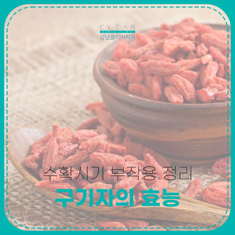 구기자의 효능 부작용 정리 관련 이미지 1
