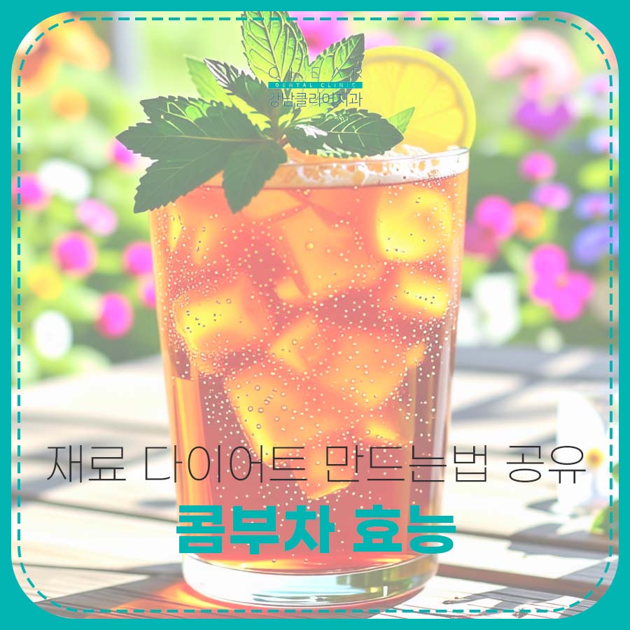 콤부차 효능 재료 다이어트 만드는법 공유 관련 이미지 1
