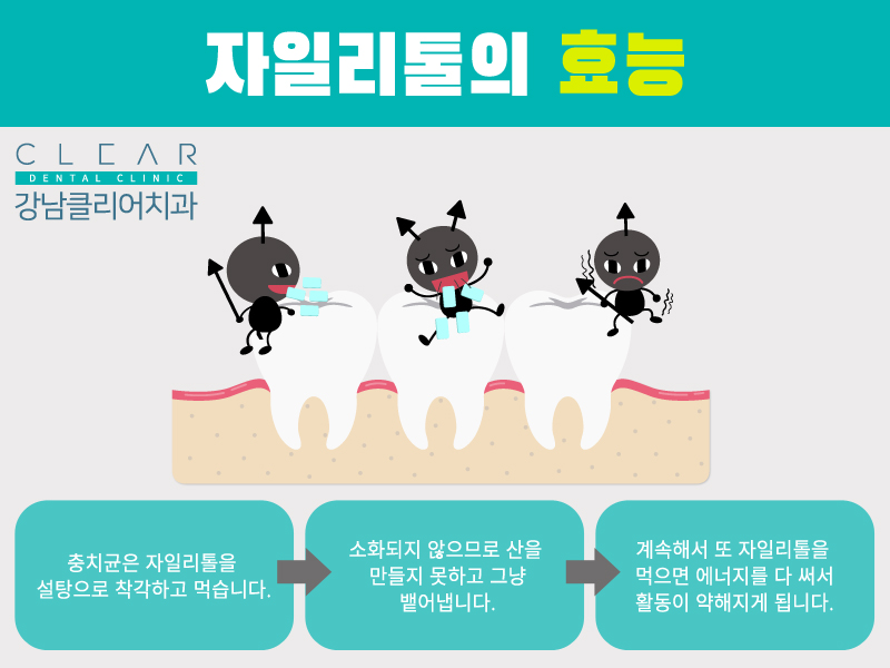 자일리톨이 정말 충치 예방이 될까? 관련 이미지 3