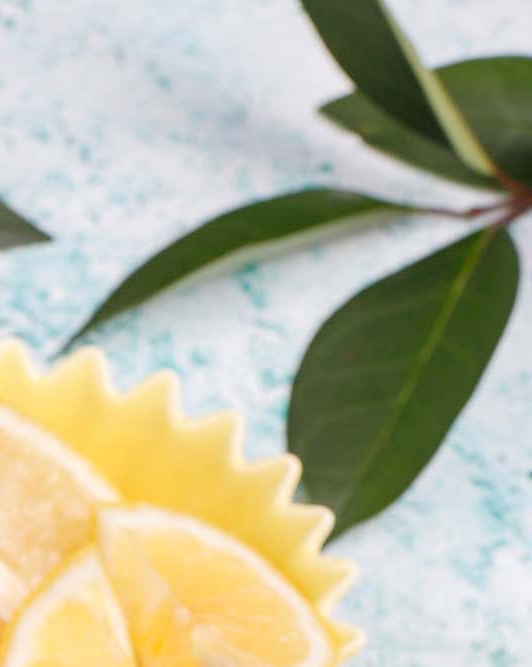 강남클리어치과 하얀 치아를 만들기 위한 방법은 관련 이미지 17