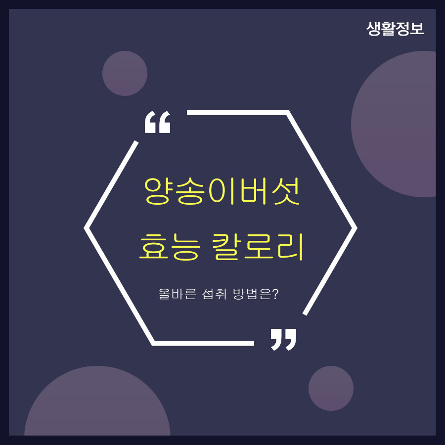 양송이버섯 효능 칼로리 올바른 섭취 방법은? 관련 이미지 1