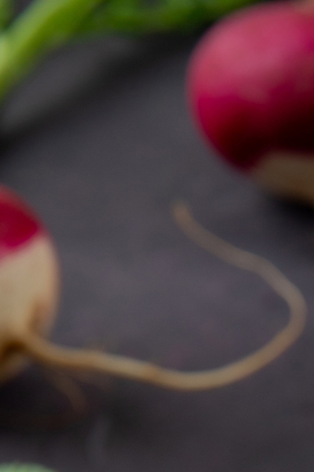 콜라비 효능 부작용 보관법 고르는법 알아보기 관련 이미지 7