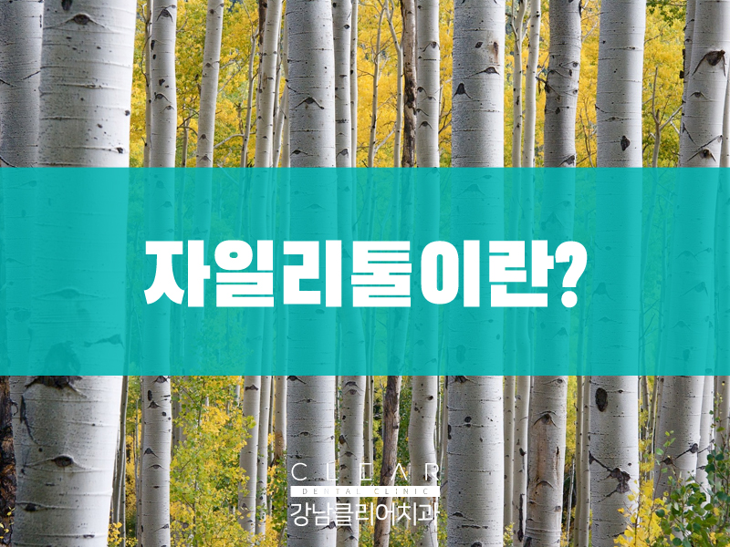 자일리톨이 정말 충치 예방이 될까? 관련 이미지 2