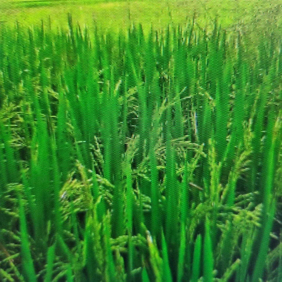 유산소운동효과 알아보기 관련 이미지 8