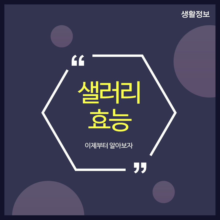 샐러리효능 이제부터 알아보자 관련 이미지 1