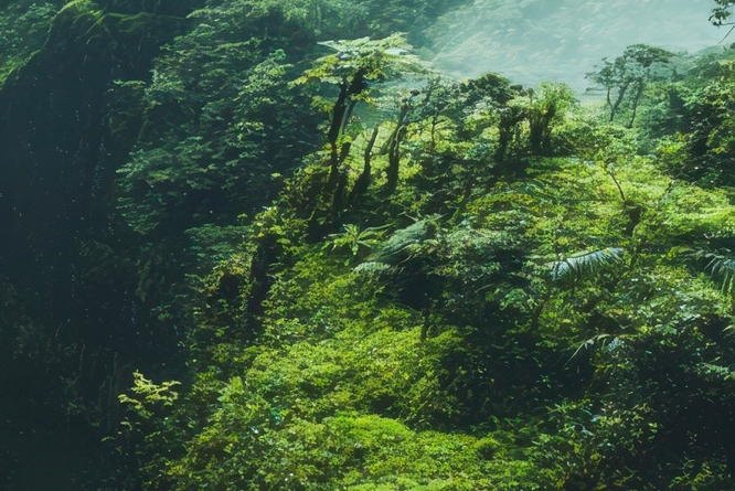 치아 사이 충치 조기에 발견해야 관련 이미지 28