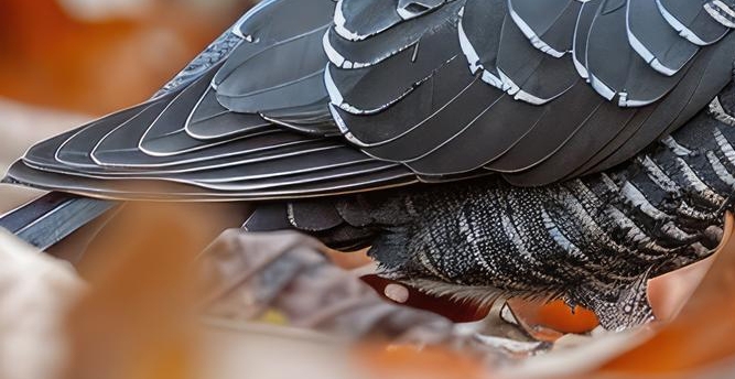 임플란트 정품 확인하고 내게 맞는 식립방법으로 관련 이미지 21