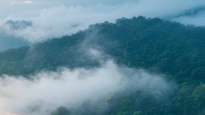 치아 사이 충치 조기에 발견해야 관련 이미지 16