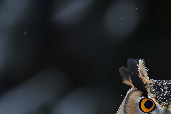 급성장염에 좋은 음식 증상 낫는기간은? 관련 이미지 8