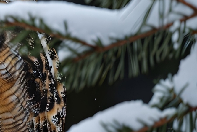 급성장염에 좋은 음식 증상 낫는기간은? 관련 이미지 13