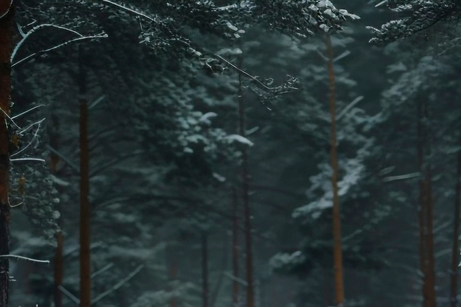 술마시고 두통 숙취 증상 피해야 할 약 3가지 관련 이미지 8