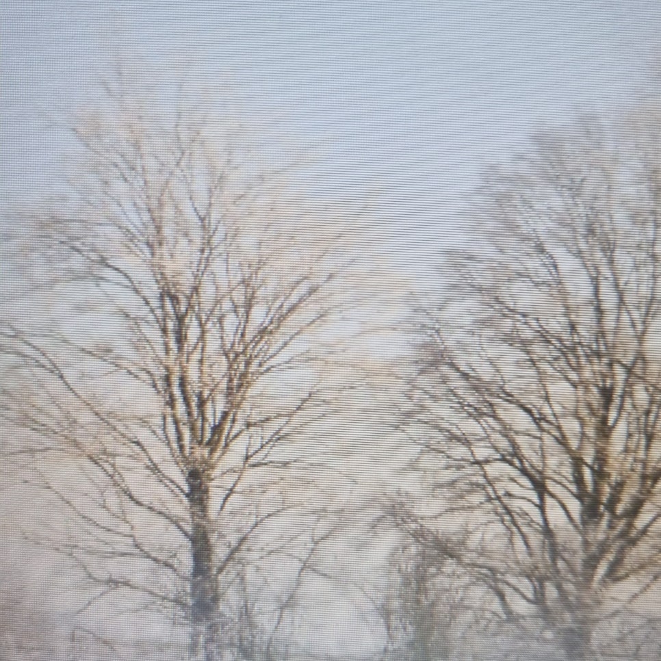 배드민턴 운동효과 6가지 어떤 효과를 가지고 올까? 관련 이미지 12
