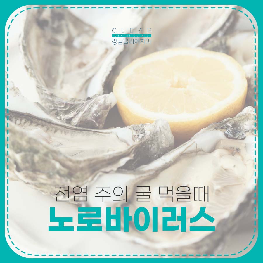 겨울철 노로바이러스 전염 주의 굴 먹을때 관련 이미지 1