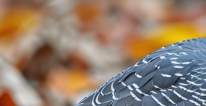 임플란트 정품 확인하고 내게 맞는 식립방법으로 관련 이미지 18