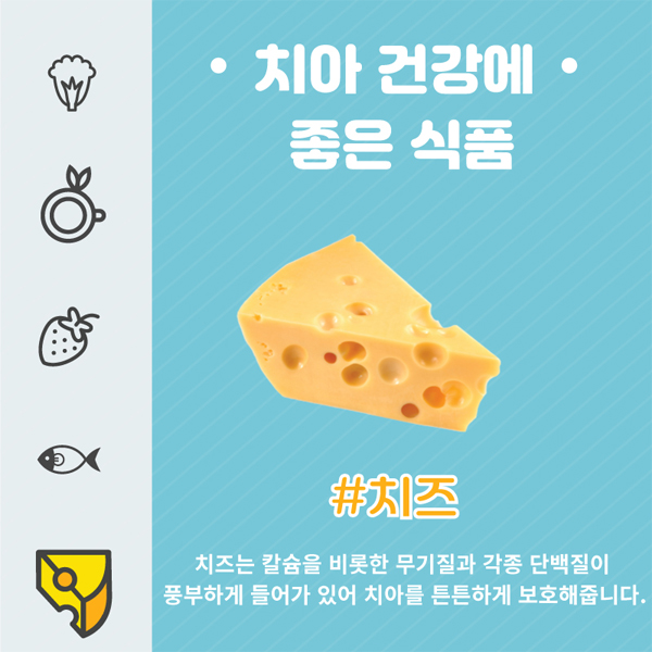 치아 건강에 좋은 식품의 종류 관련 이미지 6