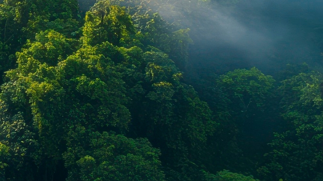 치아 사이 충치 조기에 발견해야 관련 이미지 22