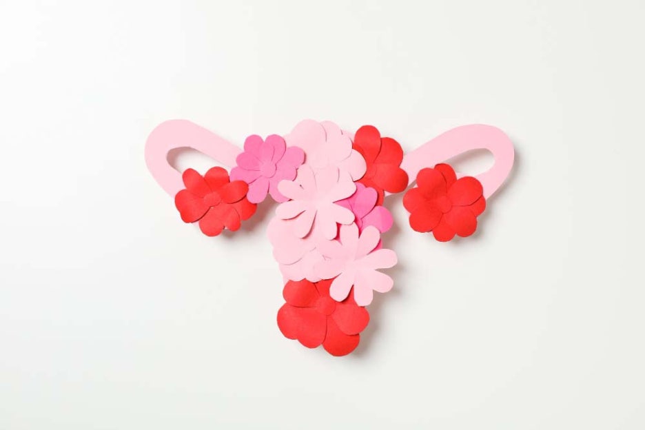 생리혈 색깔로 보는 건강상태 검은색 정상일까? 관련 이미지 4