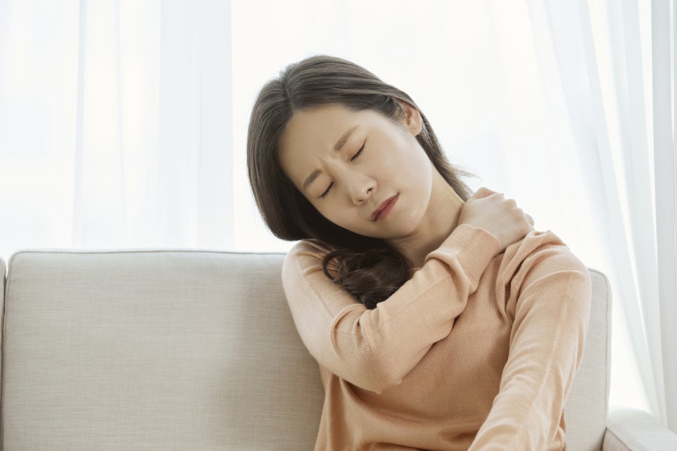 철분이 많은 음식 과일 빈혈이 자주 있다면 관련 이미지 2