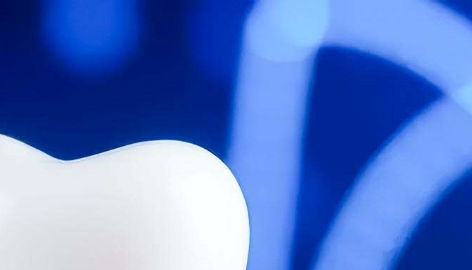 덴티움 임플란트 정품을 사용이 중요 관련 이미지 15