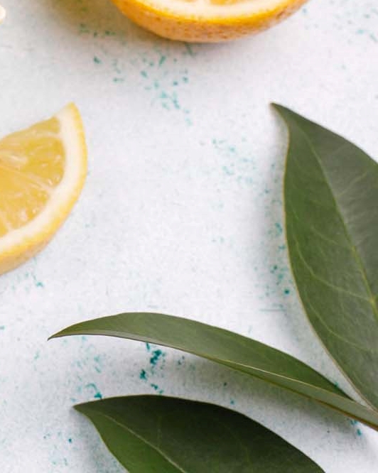 강남클리어치과 하얀 치아를 만들기 위한 방법은 관련 이미지 23