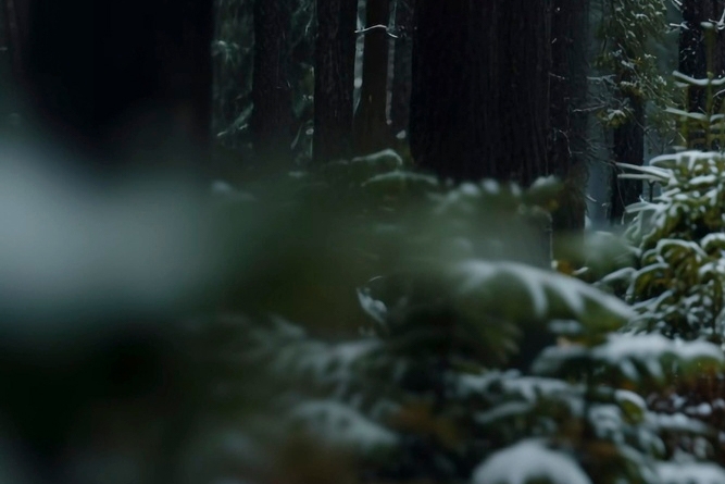 술마시고 두통 숙취 증상 피해야 할 약 3가지 관련 이미지 10