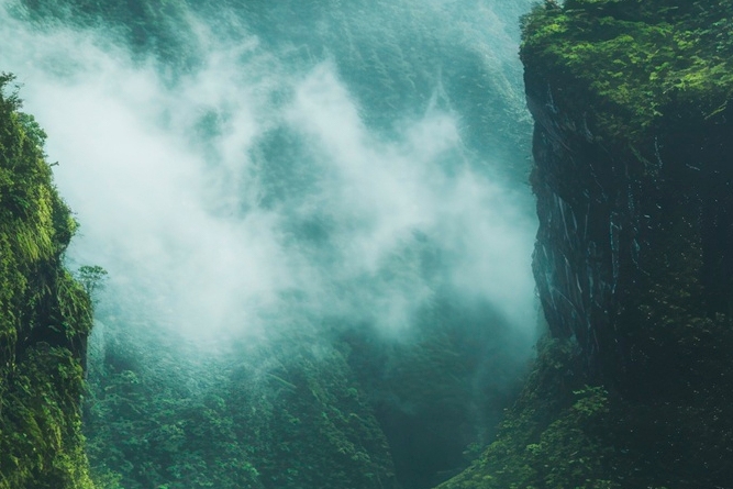 치아 사이 충치 조기에 발견해야 관련 이미지 27