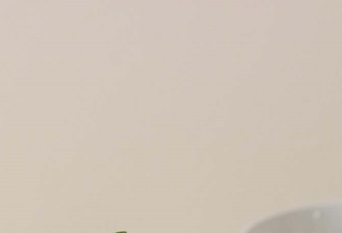 위고비 처방대상 가격 비만치료제 종류 분석 관련 이미지 7