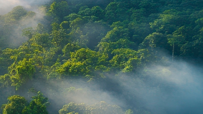 치아 사이 충치 조기에 발견해야 관련 이미지 19