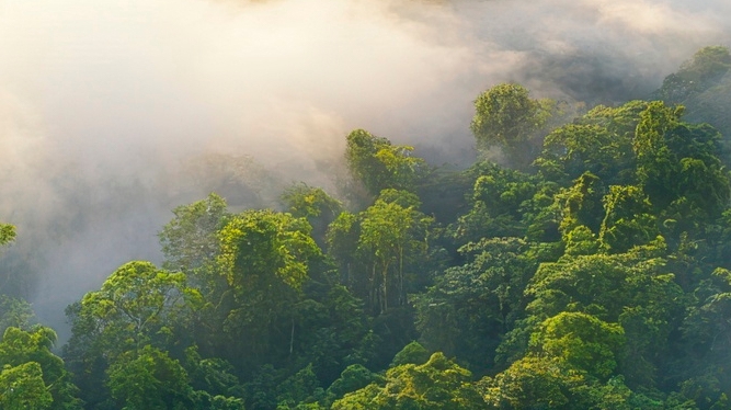 치아 사이 충치 조기에 발견해야 관련 이미지 18