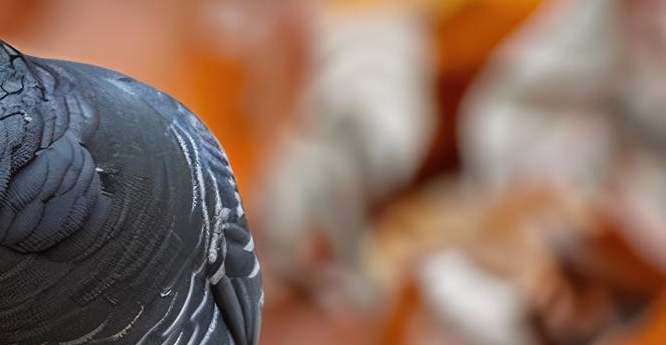 임플란트 정품 확인하고 내게 맞는 식립방법으로 관련 이미지 20