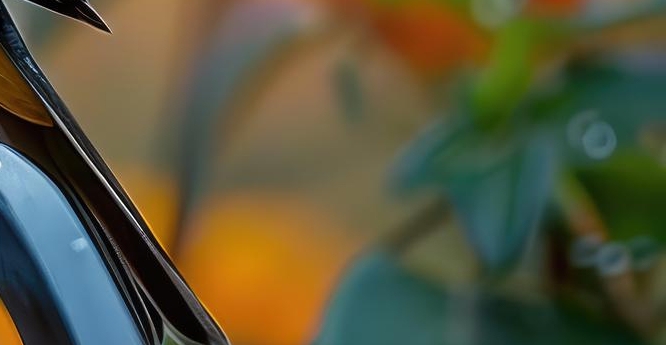 임플란트 정품 확인하고 내게 맞는 식립방법으로 관련 이미지 32