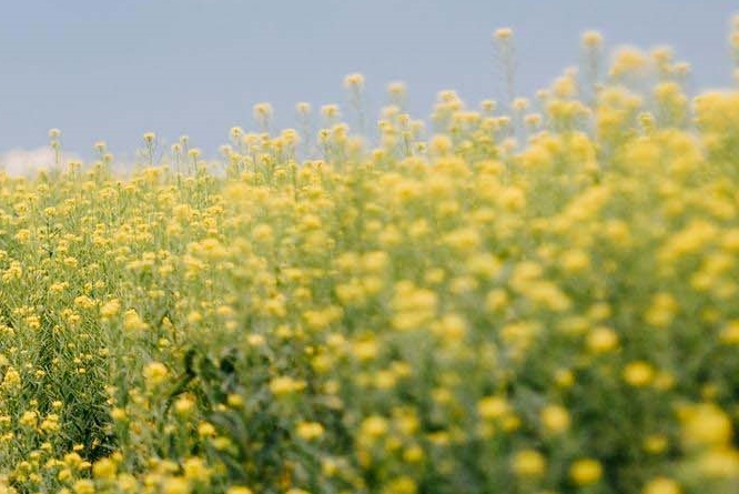 신논현 임플란트 구조 수술과정 총정리 관련 이미지 24