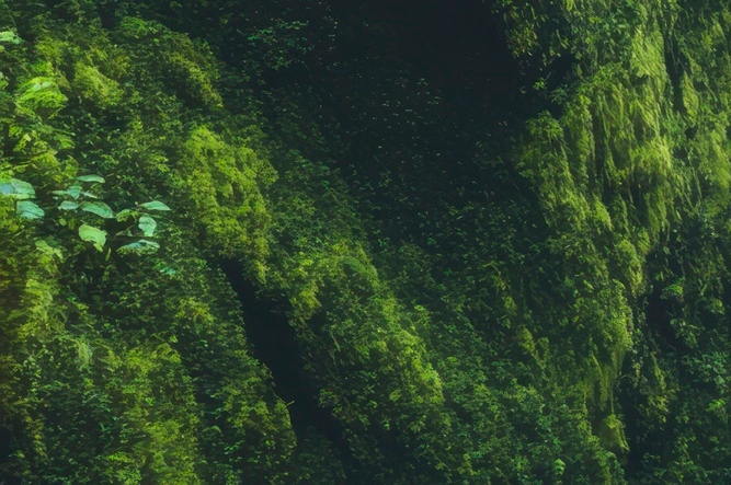 치아 사이 충치 조기에 발견해야 관련 이미지 29