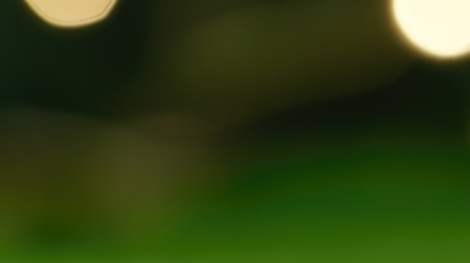 임플란트 빠졌을때 빠지는 이유 대처법 알려드려요 관련 이미지 27