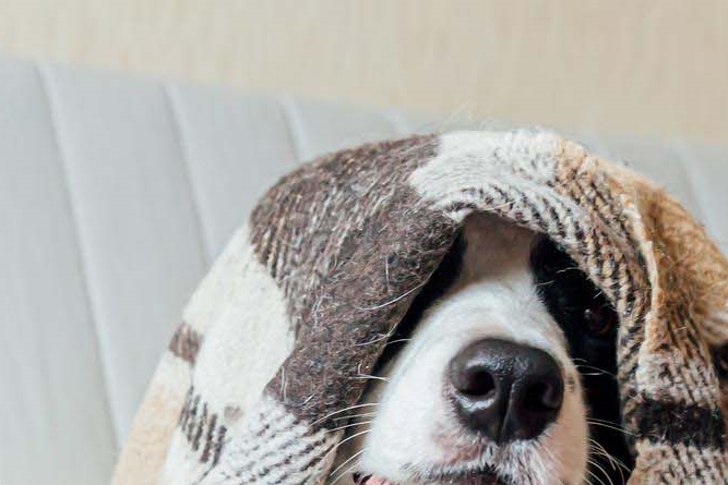 라미네이트 치아삭제 꼭 필요한 만큼만 해요 관련 이미지 16