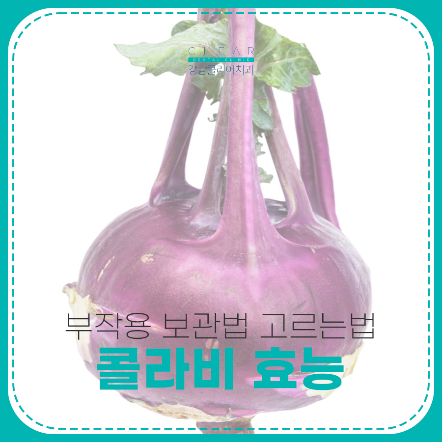 콜라비 효능 부작용 보관법 고르는법 알아보기 관련 이미지 1