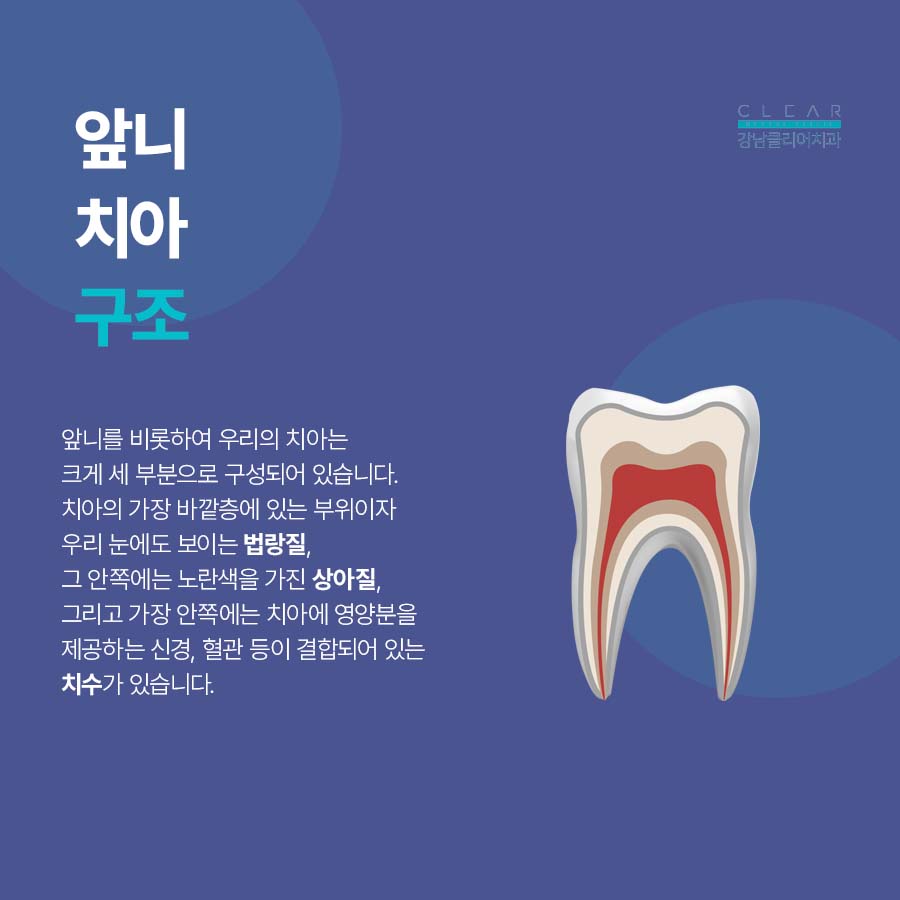 앞니 깨짐 레진 치료방법은? 관련 이미지 2